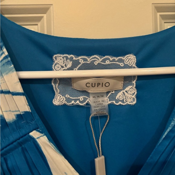 NWT Blue and White Cupio Dress - Picture 5 of 7
